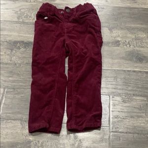 Burgundy Corduroys